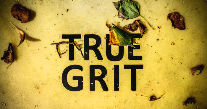 "Two female law professors argue that colleges should promote a culture of 'true grit' to help fight against 'thin-skulled' students who demand safe spaces and trigger warnings." - Campus Reform 