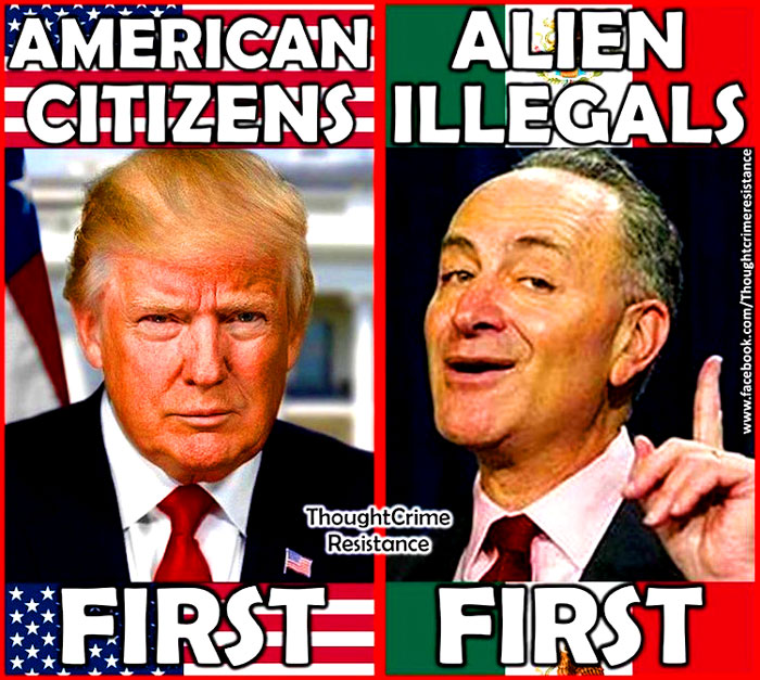 "In short, it was a major shock to a party long accustomed to getting whatever they want by simply screaming loudly enough. And now, like any other spoiled brats who just learned temper tantrums won’t get them that shiny new toy, Democrats are pouting about it." -  Federalist Papers 